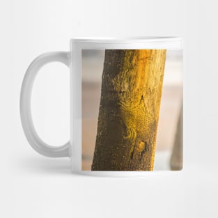 Dock Beach Mug